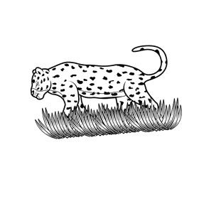 Leopard Walk black and white clipart