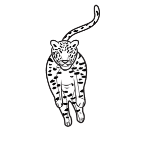 Leopard Jump Front black and white clipart