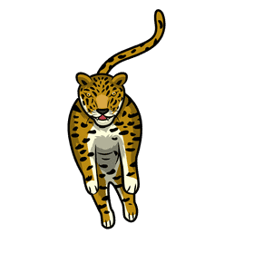 Leopard Jump Front clipart