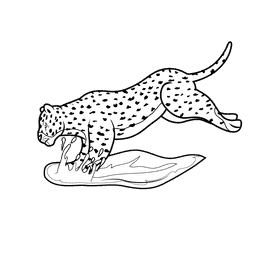 Leopard Landing black and white clipart