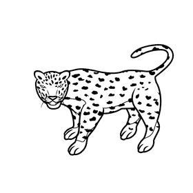 Leopard Move black and white clipart
