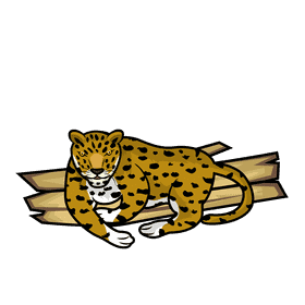 Leopard Rest clipart