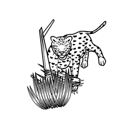 Leopard Strike black and white clipart