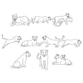 Lioness  Set black and white vector