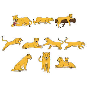 Lioness vector Set vector