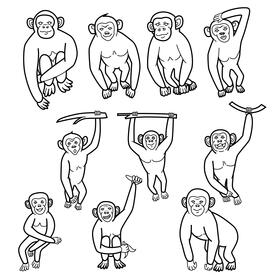Chimpanzee set black and white vector