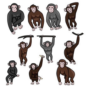 Chimpanzee set vector