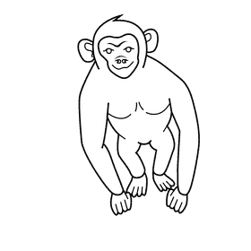Chimpanzee black and white clipart