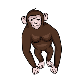 Chimpanzee clipart