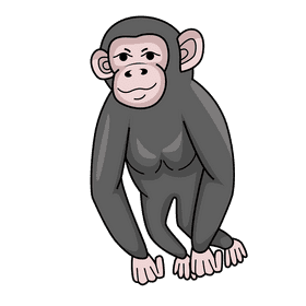 Chimpanzee clipart