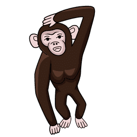 Chimpanzee clipart