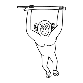Chimpanzee black and white clipart