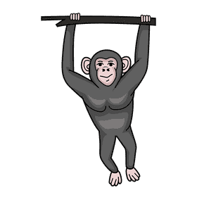 Chimpanzee clipart