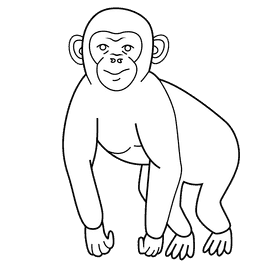 Chimpanzee black and white clipart