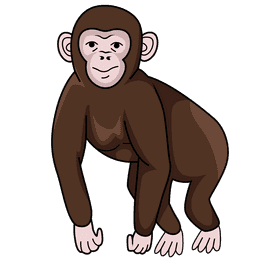 Chimpanzee clipart