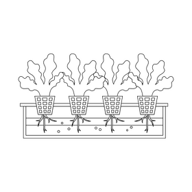 Hydroponics growing tray black and white clipart