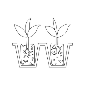 Seed starting black and white clipart