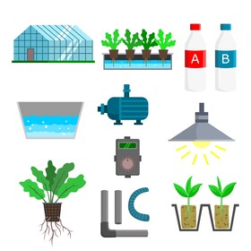 Hydroponic icon set vector