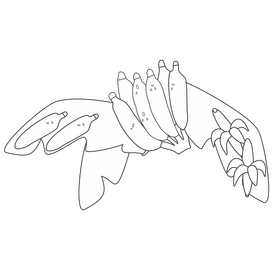 Banana black and white clipart