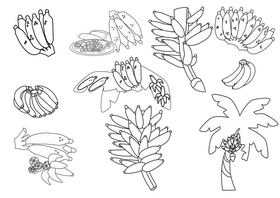 Bananas black and white vector