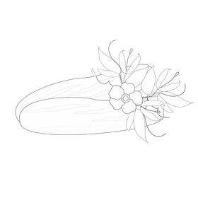 Cucumber black and white clipart