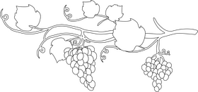 Branch of grapes black and white clipart