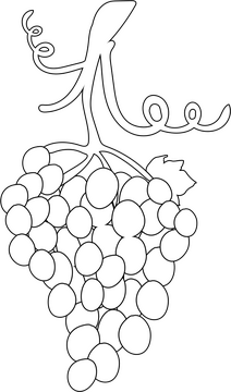 Grapes black and white clipart