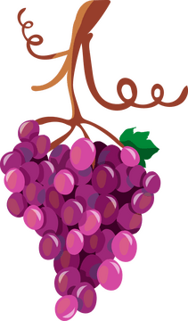 Grapes clipart