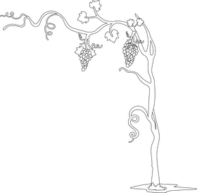 Grape tree illustration black and white clipart