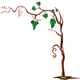 Grape tree illustration clipart