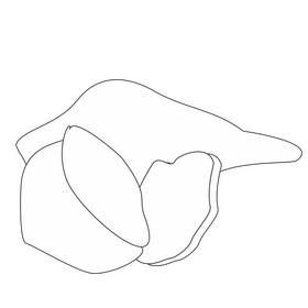 Cartoon potato half cut black and white clipart