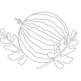 Watermelon black and white clipart