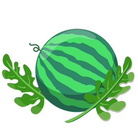 Watermelon clipart