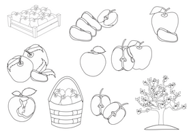 Apples black and white vector