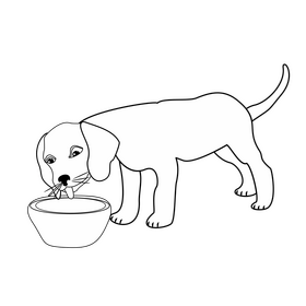 Beagle dog drinking water black and white clipart