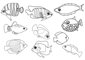 Tropical fishes black and white vector