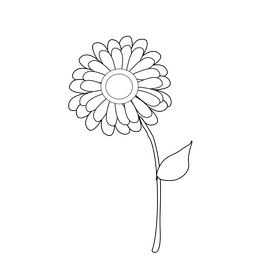 Gerbera cartoon black and white clipart