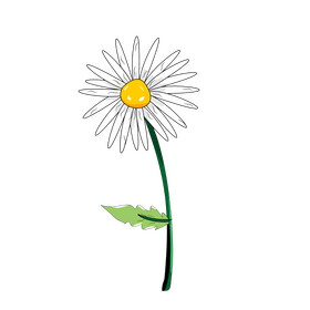 Daisy clipart