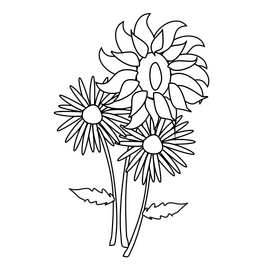 Sunflower and daisy drawing black and white clipart