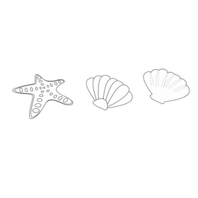 Starfish and shells drawing black and white clipart