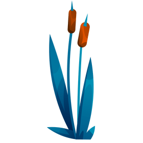 Reeds clipart