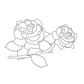 Pink roses drawing black and white clipart