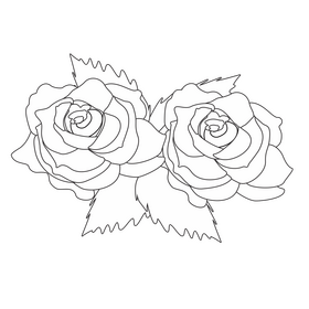 Red and white roses illustration black and white clipart