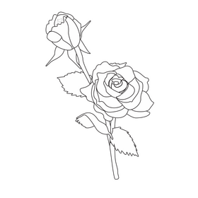 Red rose with a bud black and white clipart