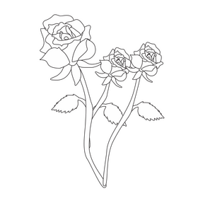 Free roses black and white clipart