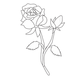 Yellow rose with a bud black and white clipart