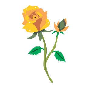 Yellow rose with a bud clipart