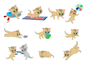 Cats daily routine vector