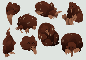 Echidna cartoon set vector