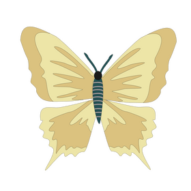 Beige butterfly drawing clipart